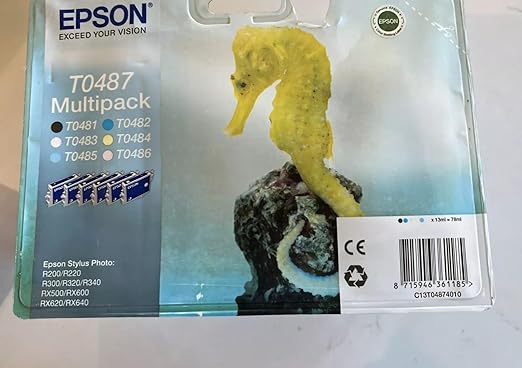 Epson T0487 - Cartuccia d'inchiostro per R200, multicolore