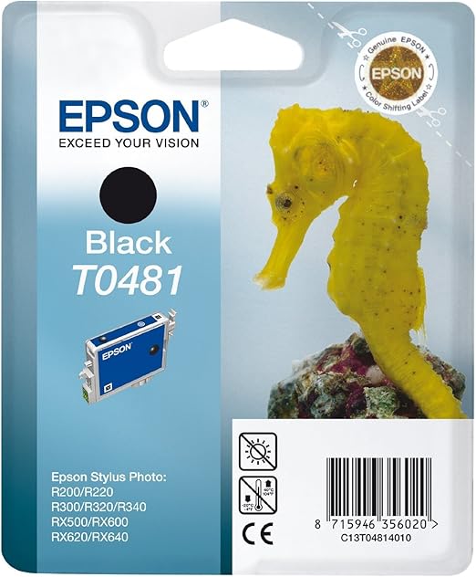 Epson T0481 Cartuccia d'Inchiostro, Nero